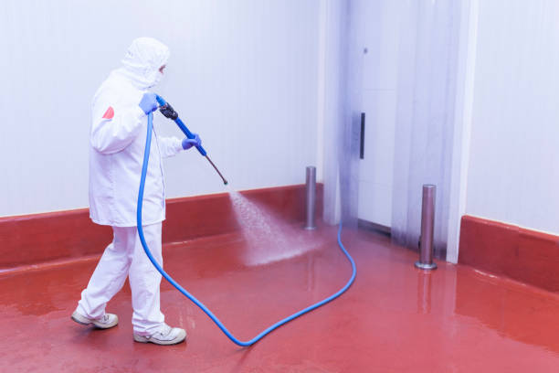 Best Pre-Holiday Cleaning  in Loxahatchee Groves, FL